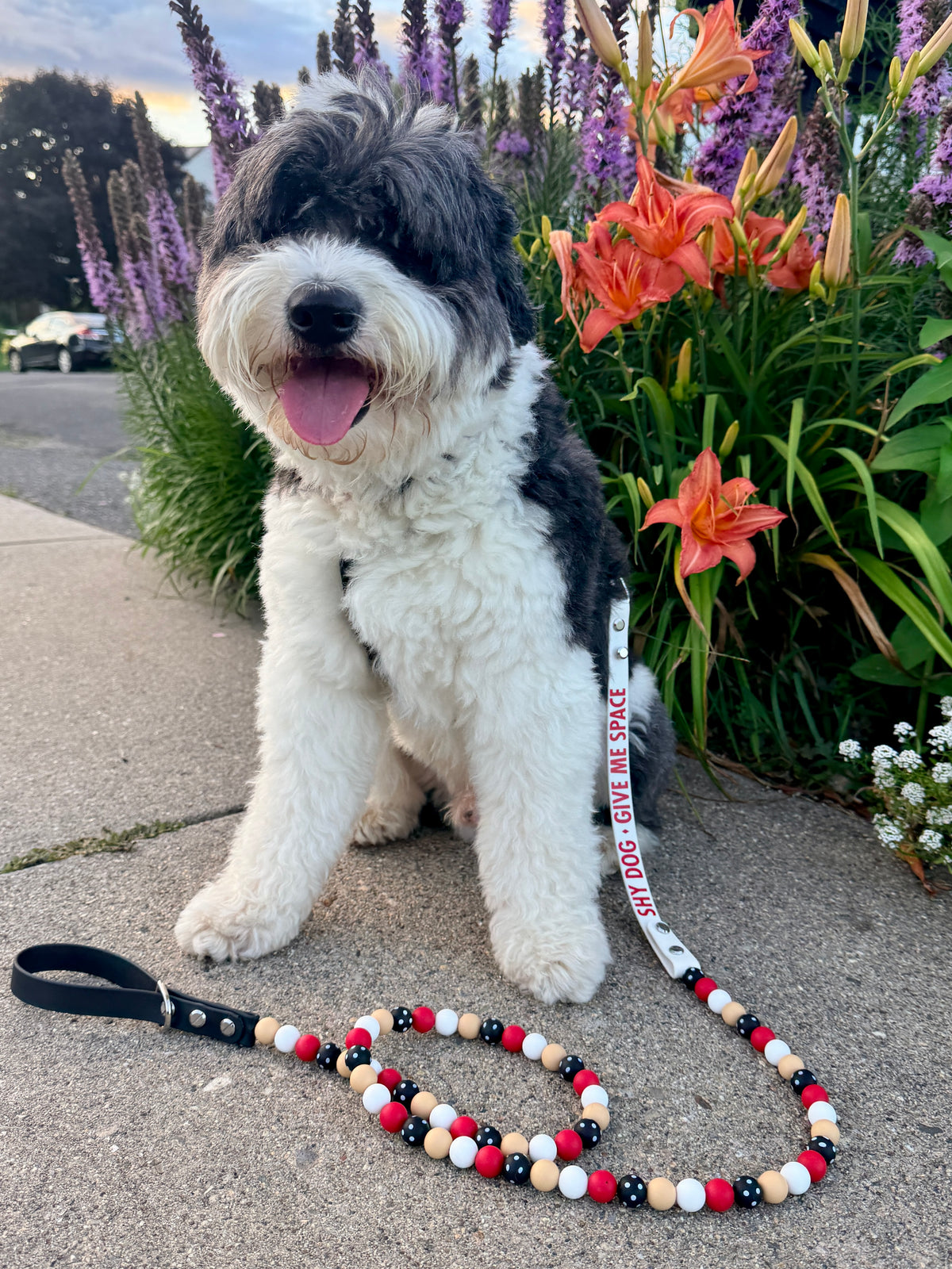 Boardwalk Waterproof Beaded Dog Leash