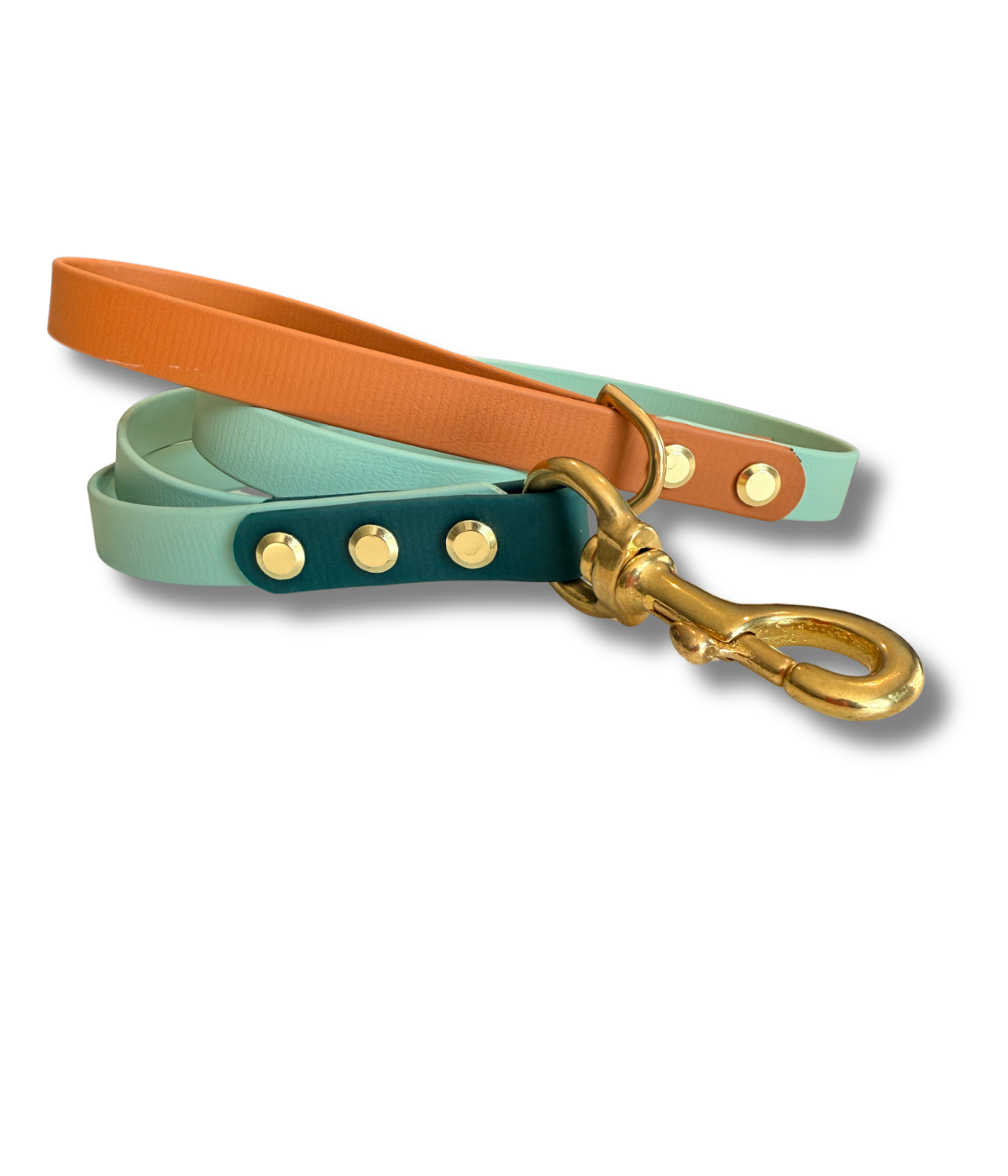 Three-Tone Biothane Leashes ®