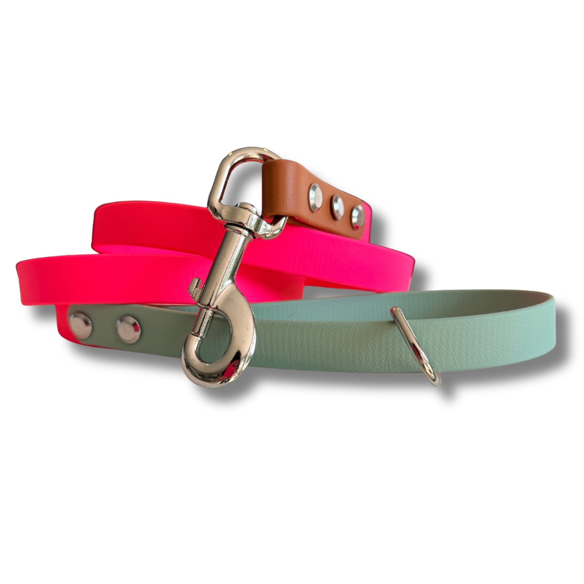 English Rose Biothane® Waterproof Dog Leash