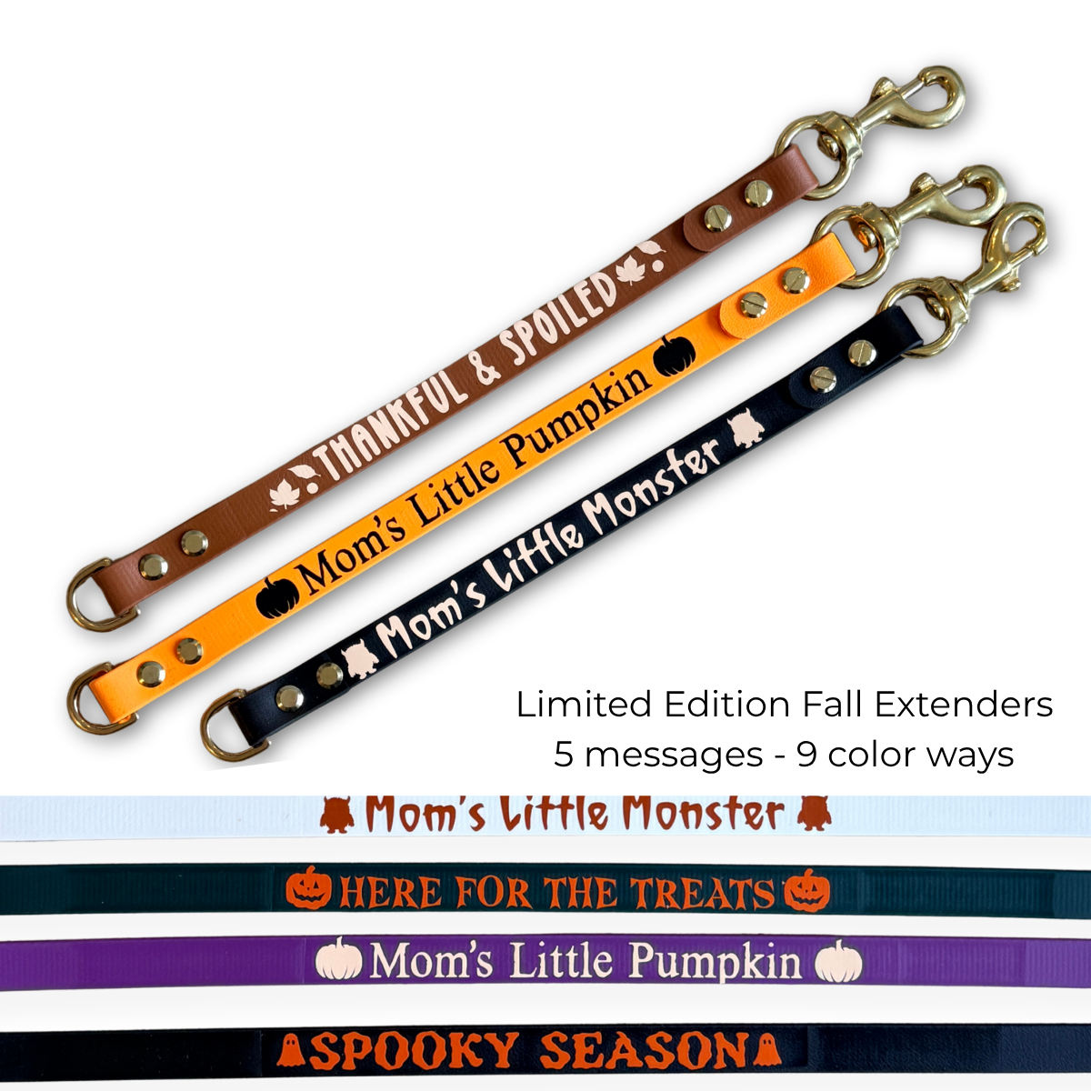 Halloween/Fall Biothane® Leash Extender | Leash Wrap Alternative
