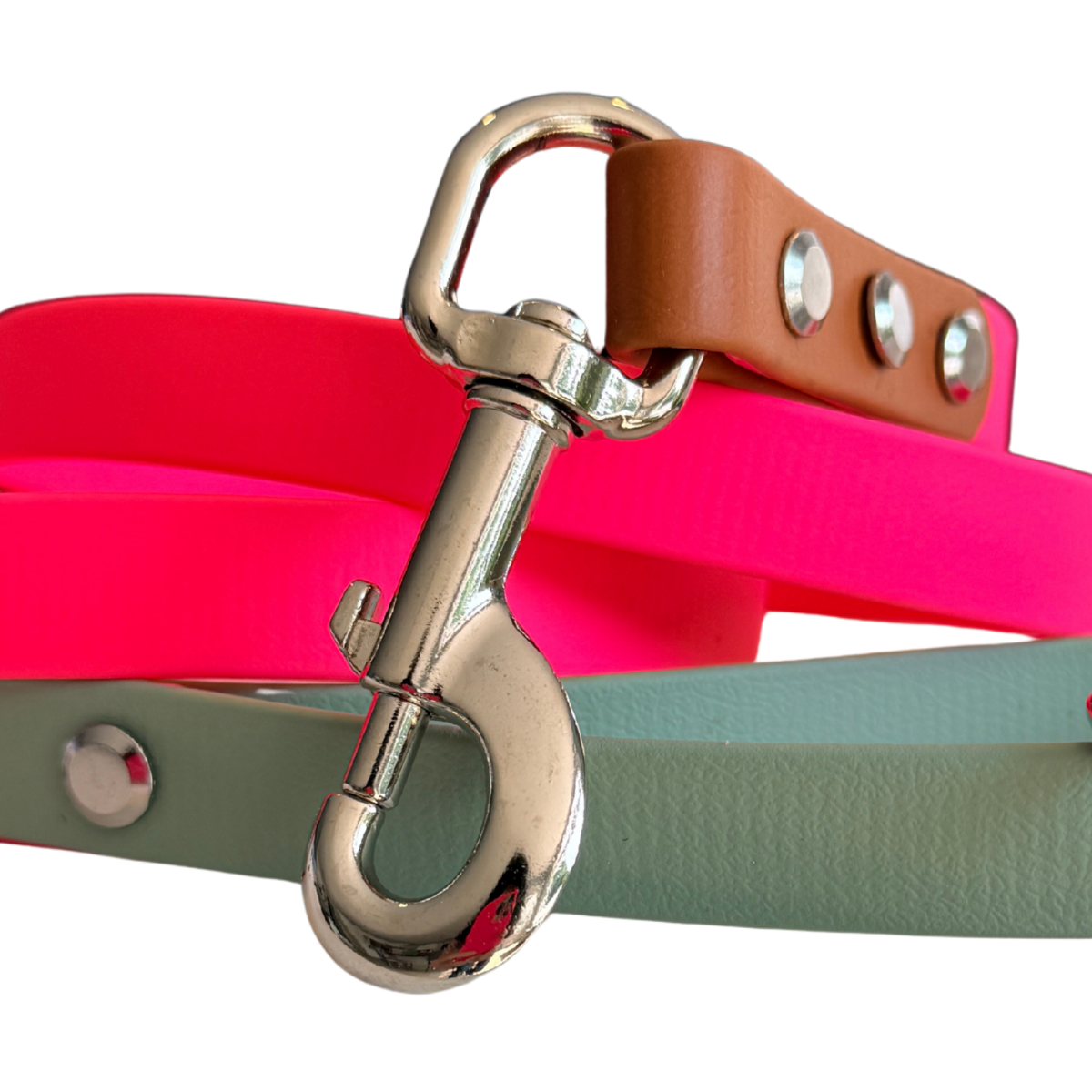 English Rose Biothane® Waterproof Dog Leash