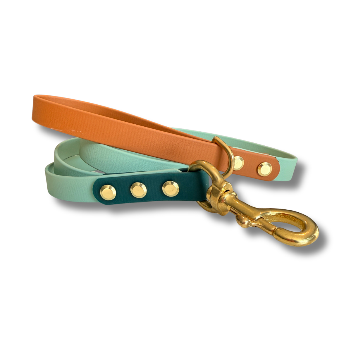 Sagewood Biothane® Waterproof Dog Leash