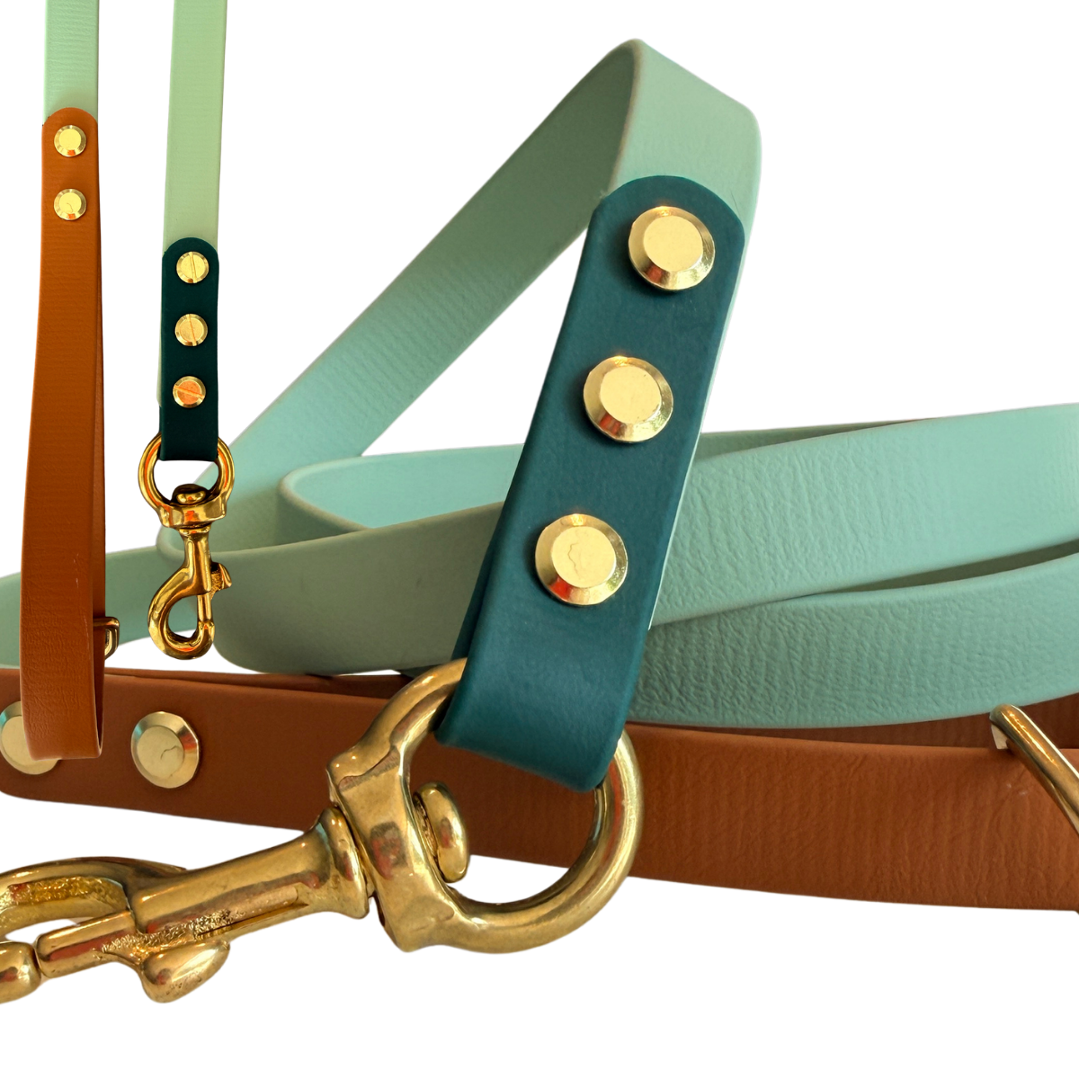 Sagewood Biothane® Waterproof Dog Leash