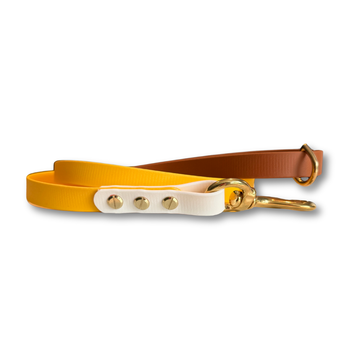 Sunny Days Biothane® Waterproof Dog Leash