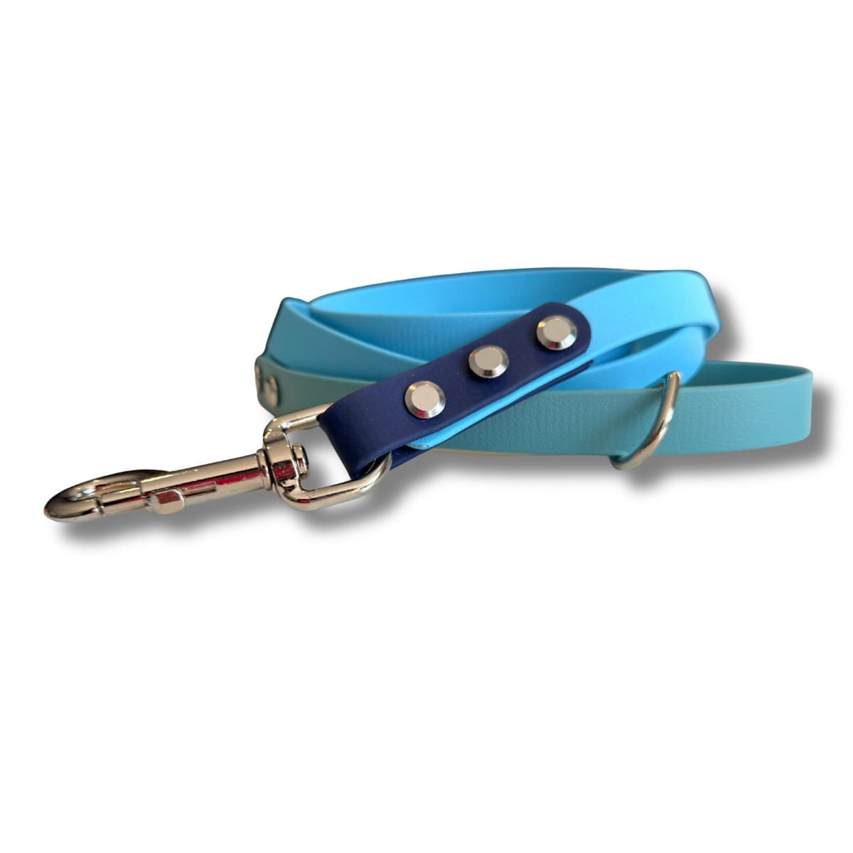 Seaglass Biothane® Waterproof Dog Leash