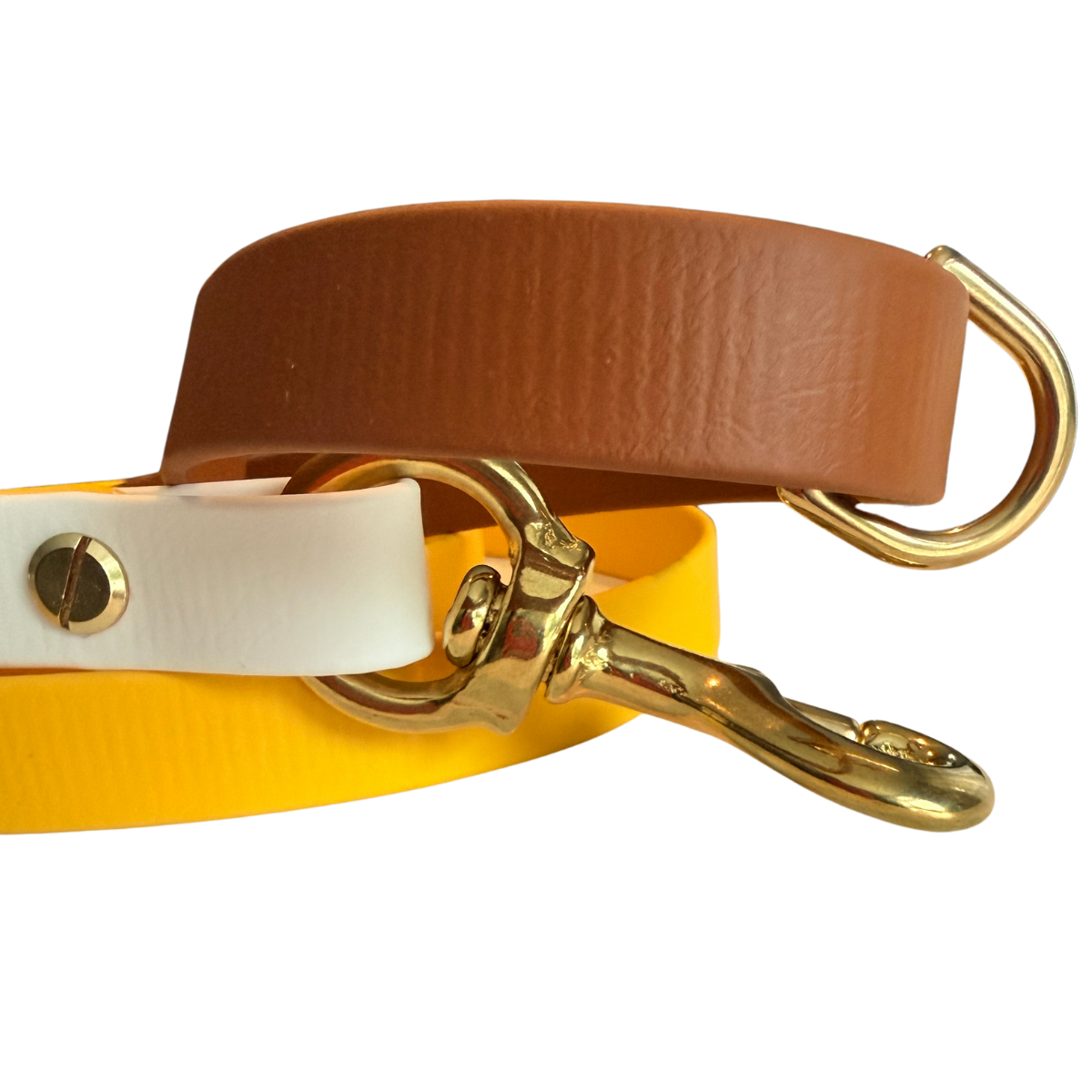 Sunny Days Biothane® Waterproof Dog Leash