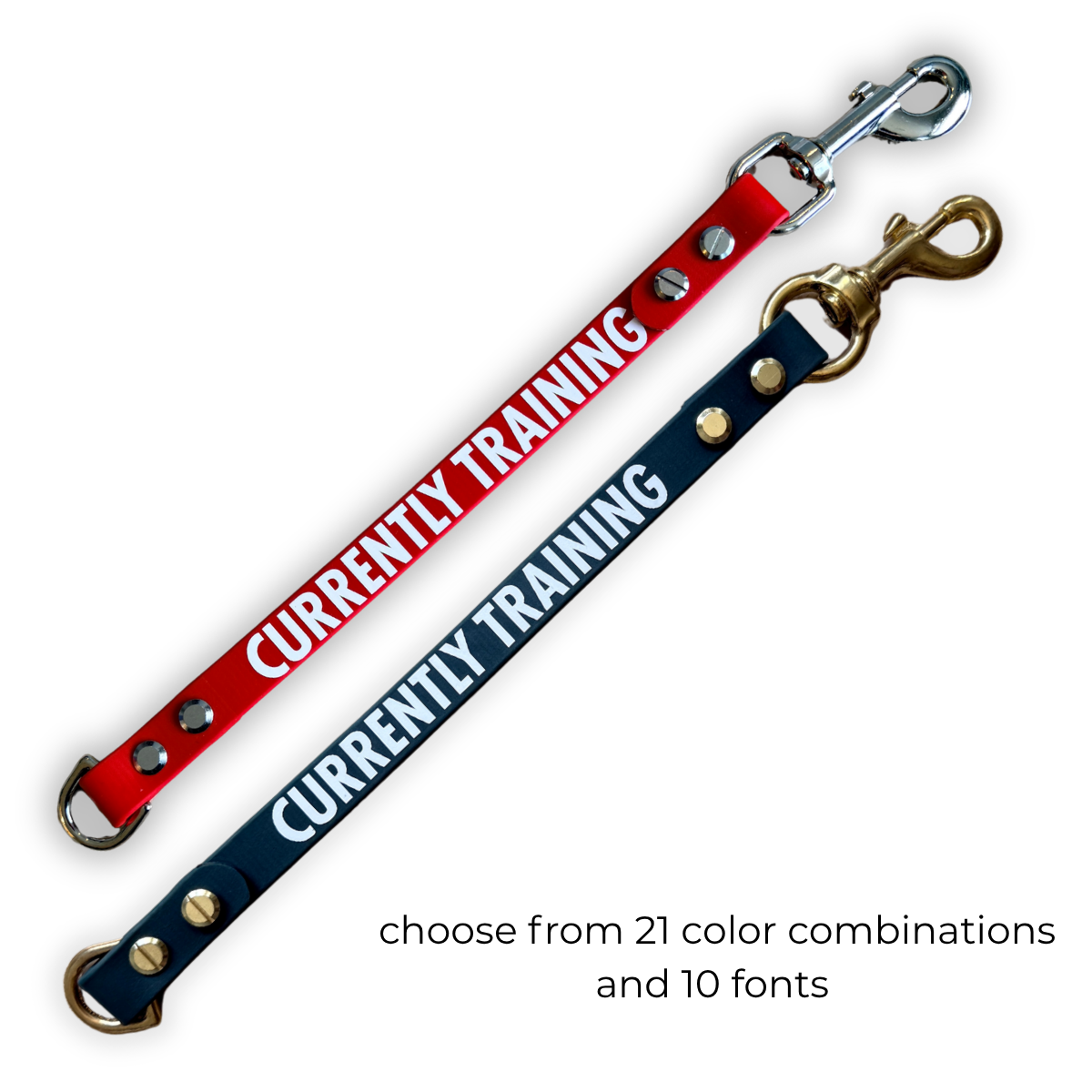 Currently Training Biothane® Leash Extender | Leash Wrap Alternative