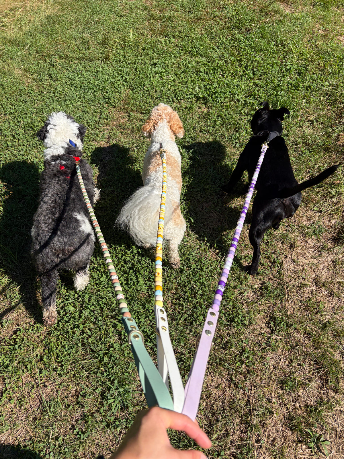Lavender Fields Beaded Dog Leash